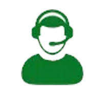 Cây giống bồ công anh Việt Nam lá dài