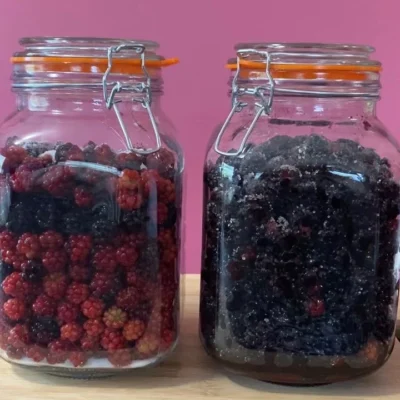 Rượu NGÂM PHÚC BỒN TỬ (QUẢ MÂM XÔI)