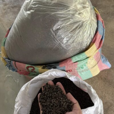 Hạt Giống cây xạ đen - 1kg