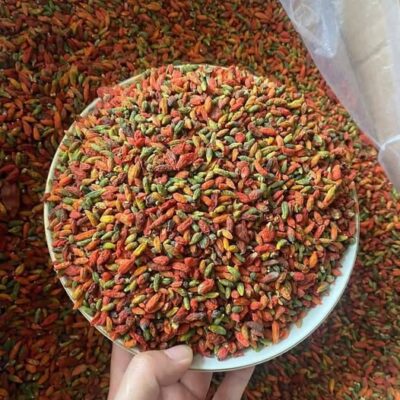 KỲ TỬ RỪNG TỰ NHIÊN - 1KG