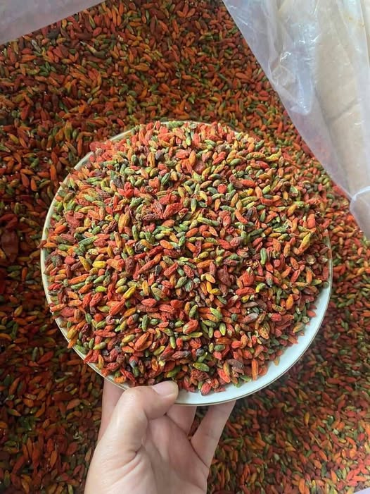 KỲ TỬ RỪNG TỰ NHIÊN - 1KG KỲ TỬ RỪNG TỰ NHIÊN - 1KG