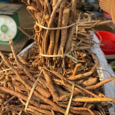 Rễ Hoàng Kỳ Nam thơm tươi - 1KG
