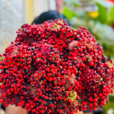 Hoa và Quả Sâm Ngọc Linh - 1KG