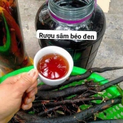 Sâm béo đen tươi - 1KG