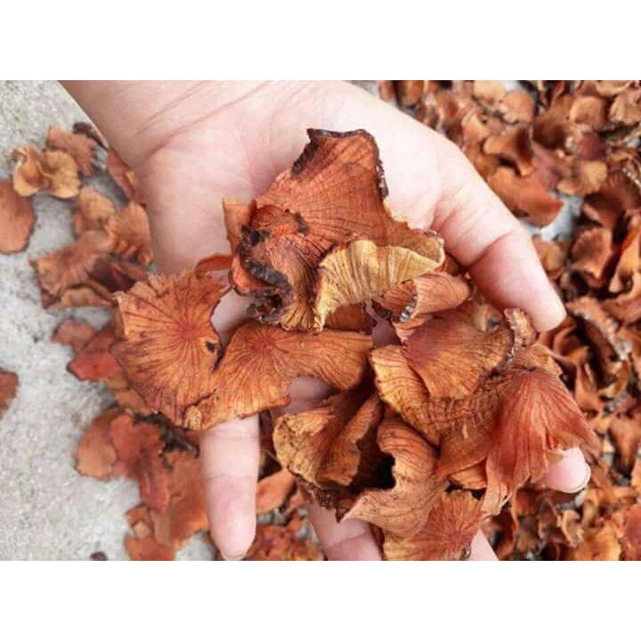 TẦM GỬI CÂY NGHIẾN KHÔ LOẠI 1 - 1KG