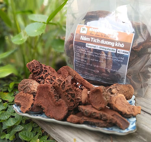 NẤM TÍCH DƯƠNG KHÔ - 1KG NẤM TÍCH DƯƠNG KHÔ - 1KG