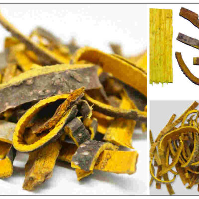 CÂY HOÀNG BÁ KHÔ (1kg)