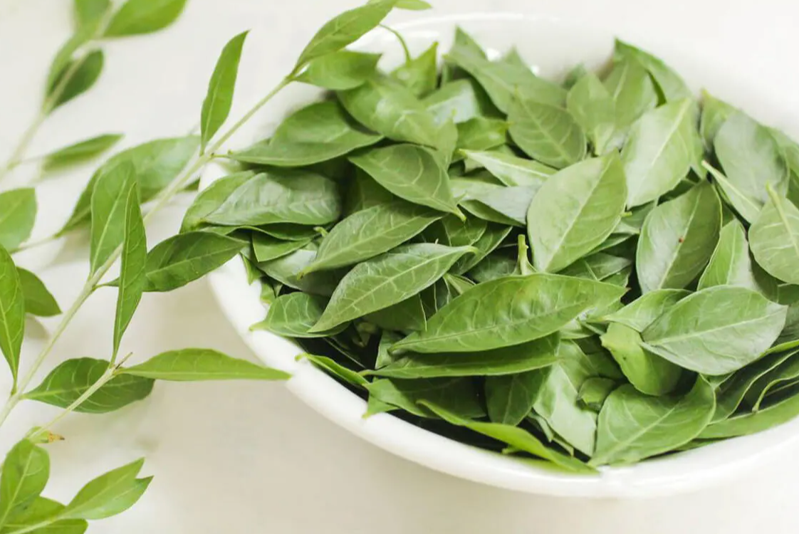 Cây lá móng tay Cây lá móng tay