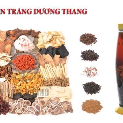 BỔ THẬN TRÁNG DƯƠNG THANG 26 VỊ