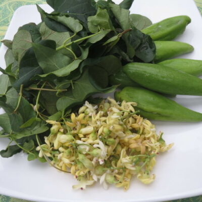 cây quả mỏ (cây mỏ quạ)