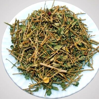 Cây cà gai leo khô (1kg)