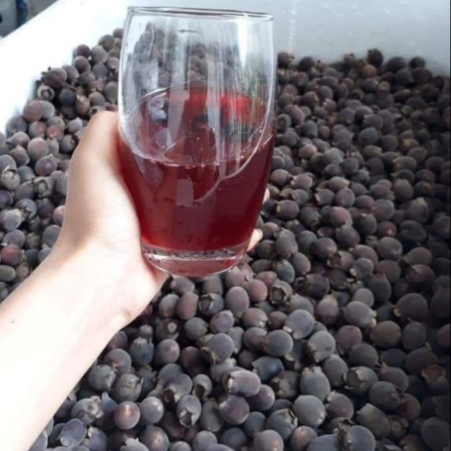 Rượu NGÂM SIM RỪNG