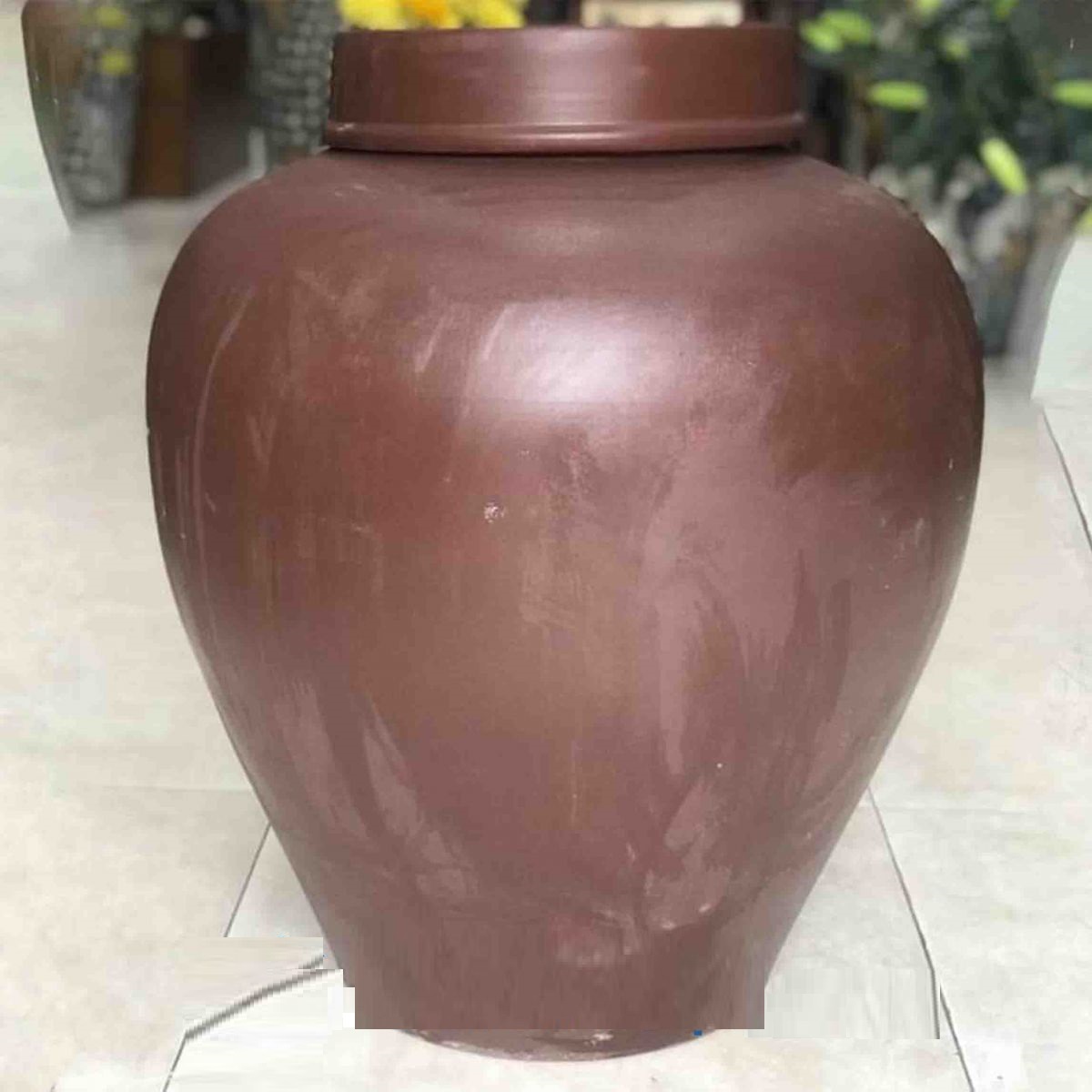 Chum sành trơn 100L