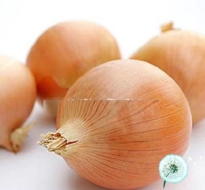 Hạt Giống Hành Củ Vàng