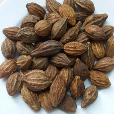 QUẢ KHA TỬ (Chiêu liêu) - 1KG