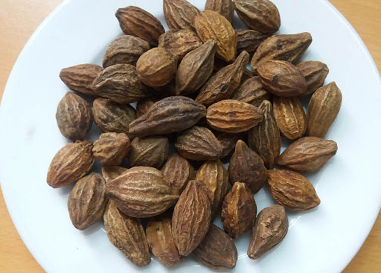 QUẢ KHA TỬ (Chiêu liêu) - 1KG QUẢ KHA TỬ (Chiêu liêu) - 1KG