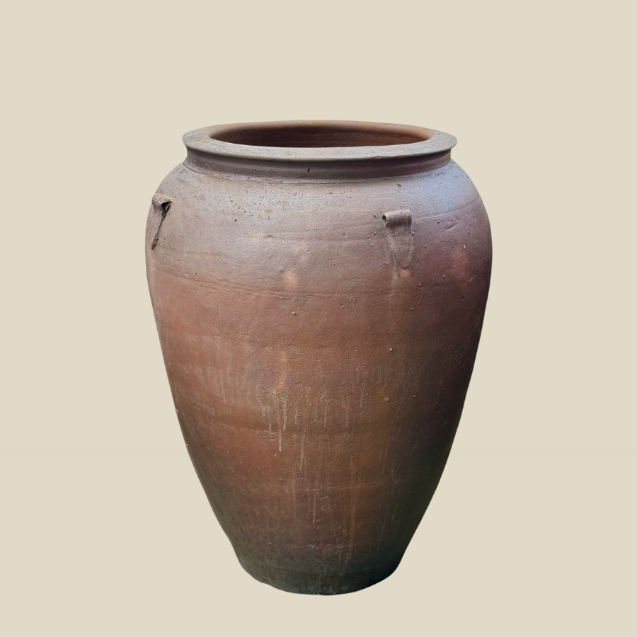 Lu Tiểu Cảnh , Chậu Trồng Cây Dáng Chóe To Cao 105cm