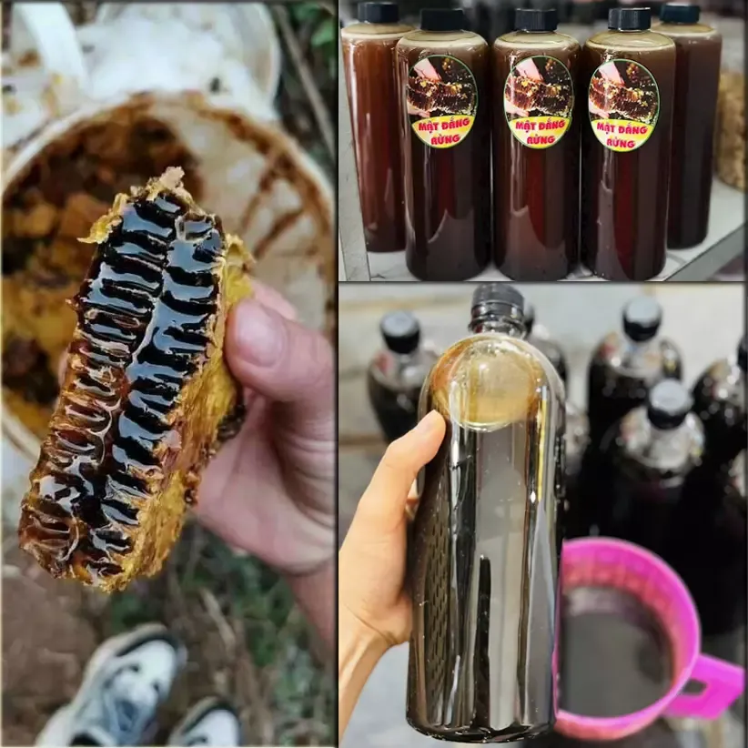 Mật ong đen loại xịn (còn được gọi là mật ong đắng)