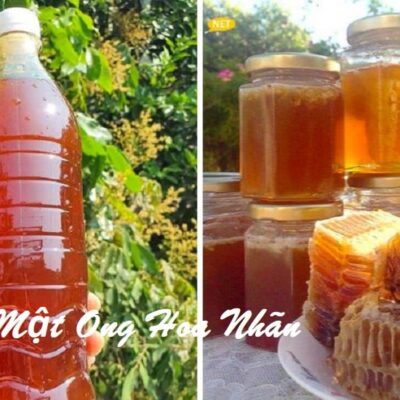 Mật Ong Hoa Nhãn Nguyên Chất