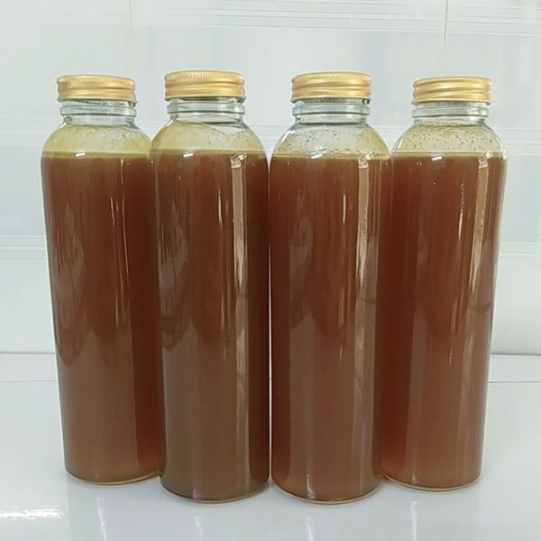 Mật Ong RUỒI TÂY BẮC Nguyên Chất THƯỢNG HẠNG