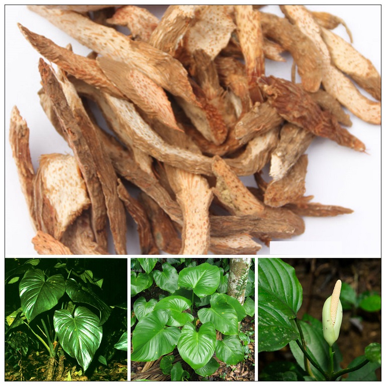 THIÊN NIÊN KIỆN KHÔ -1KG