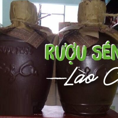 Rượu Séng Cù Lào Cai nấu từ men lá thảo dược
