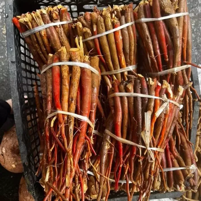 1KG SÂM CAU TÂY BẮC TƯƠI